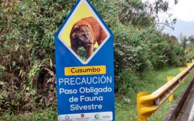 En El Oriente refuerzan campaña de sensibilización para evitar más casos de atropellamiento de animales