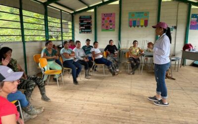 En Valdivia se implementa estrategias para dar cumplimiento a la educación escolar