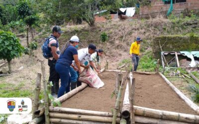 “Mi Huerta mi Alimento”, el proyecto que está ejecutando San Andrés de Cuerquia