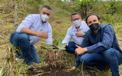 La ANDI sembrará 5 mil árboles en Marinilla