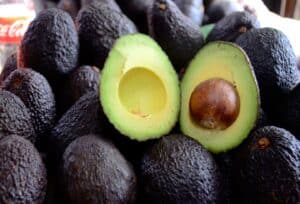 Aguacate de Horizontes para el mundo