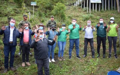 Con la siembra de 8.800 árboles nativos, Bioexpo compensa su huella de carbono