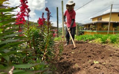La Alcaldía de Medellín busca a los productores de la ciudad para que hagan parte del nuevo modelo de Agricultura 4.0