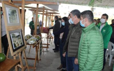 18 empresas del Oriente antioqueño participarán de la feria de turismo de talla internacional