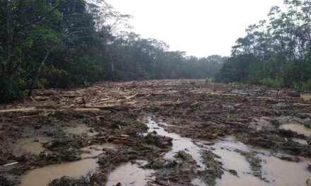 Para remover empalizada que obstruye el río Murindó, Dagran realizó transferencia de recursos al municipio