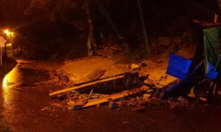 Un muerto, tres heridos y cuatro equinos fallecidos deja la ola invernal en Cocorná