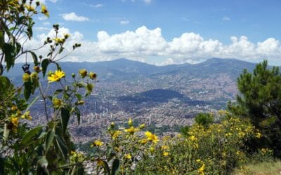 Medellín recibe reconocimiento internacional por las acciones implementadas para enfrentar el cambio climático