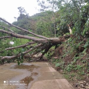 Fuertes lluvias de las últimas horas en Uramita generaron inundaciones y vendavales