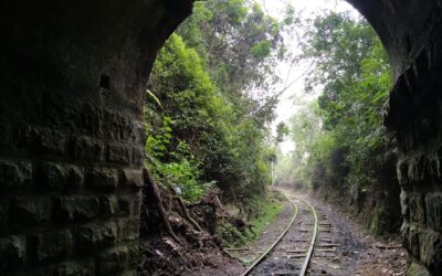 Adjudicada la interventoría de proyectos de recuperación de corredores férreos del país