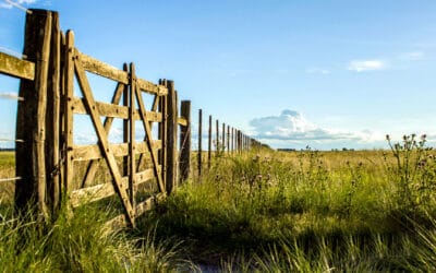 La esperanza de retornar al campo