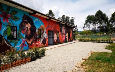 La Ceja ya tiene un Centro de Bienestar Animal