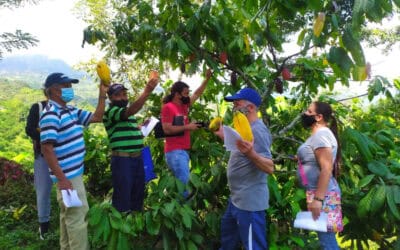 Los productores de caña y cacao del Suroeste se capacitaron para mejorar sus cultivos