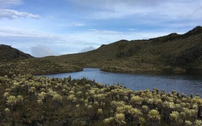 Está cerrado temporalmente el Páramo del Sol