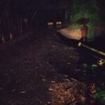 En estado crítico está un puente en Támesis