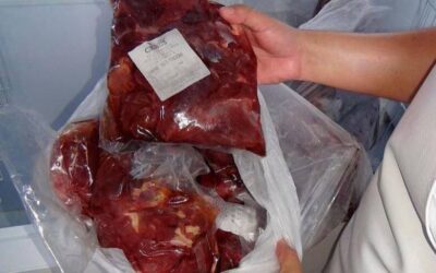 Procuraduría halló carne de caballo en alimentos del PAE de La Ceja