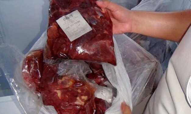 Procuraduría halló carne de caballo en alimentos del PAE de La Ceja