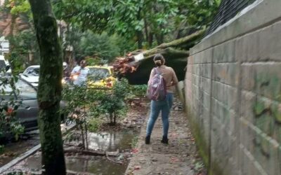 Bomberos Medellín atienden emergencias por lluvias en diferentes puntos de la ciudad