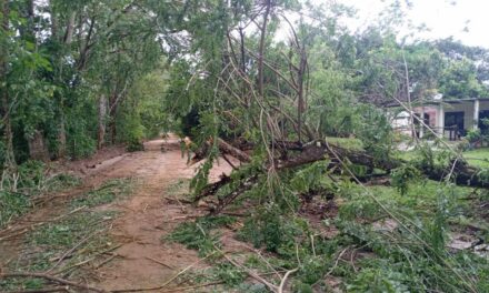 Fuertes lluvias en Puerto Nare deja un total 250 familias damnificadas