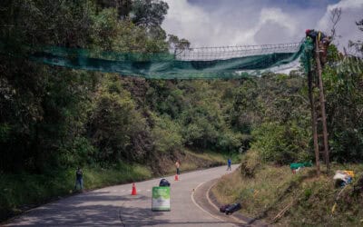 Antioquia le apuesta a la protección de la fauna silvestre