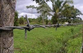 Exdirectivos del Fondo Ganadero de Córdoba una vez más a interrogatorio por caso de tierras de Urabá