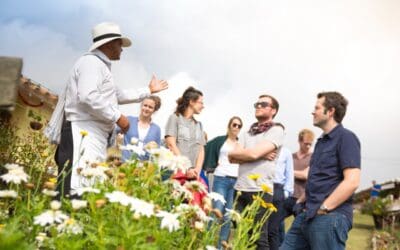 Con 26 experiencias culturales, creativas y turísticas, se conformó la primera Red de Turismo Creativo de Medellín