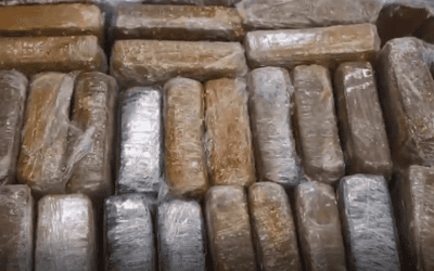Hallan 1.6 toneladas de cocaína en cajas de bananos