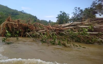 Temporada de lluvias en Antioquia, deja una persona fallecida y 120 familias damnificadas en El Bagre