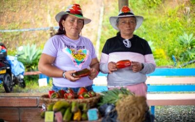 A partir de hoy se recibirán las propuestas para el Premio Experiencias Relevantes de Participación Ciudadana 2023