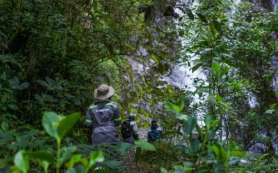 Con una nueva reserva natural en San Antonio de Prado, Medellín aumenta sus áreas protegidas y avanza en su consolidación como Ecociudad