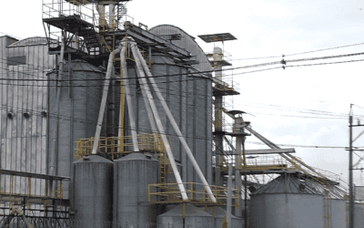 Un trabajador murió al caer en un silo de soya