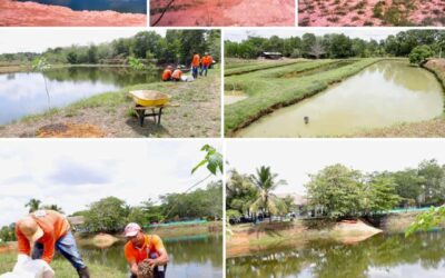 Con $189.000 millones se impulsará el Laboratorio de Vida del Bajo Cauca