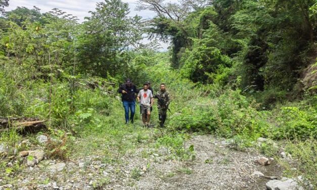 Ejército liberó a secuestrado en el Occidente del departamento