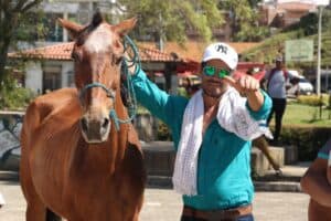 17 caballos se jubilaron en Marinilla