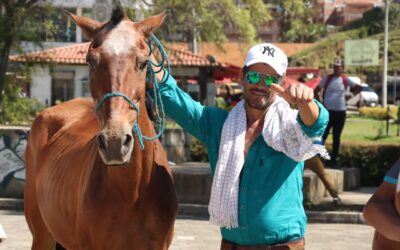17 caballos se jubilaron en Marinilla