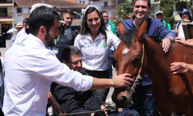 Antioquia, primer departamento en Colombia con erradicación total de vehículos de tracción animal