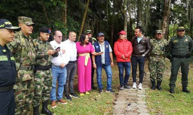 Se realizó en Concepción el quinto consejo de seguridad subregional