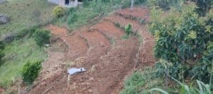 Agricultura regenerativa