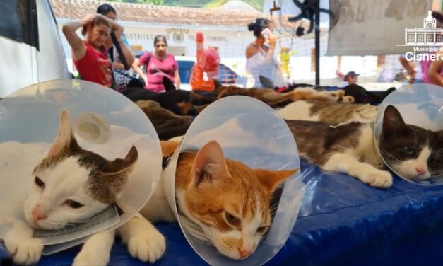 Campaña Exitosa de Esterilización: Más de 1500 Mascotas Beneficiadas en Cisneros