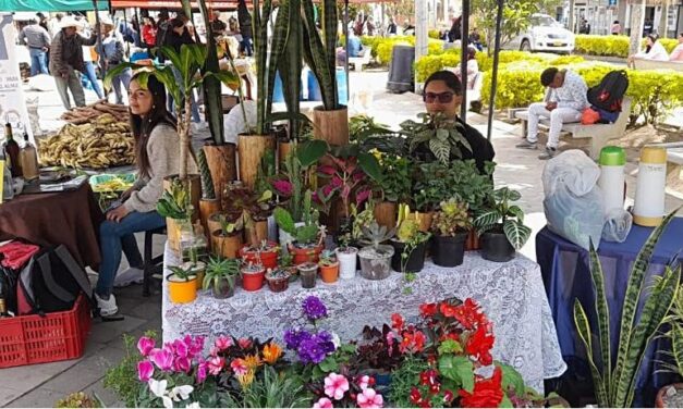 Santa Rosa de Osos celebra el Merca Sueño Campesino 2024: fomentando la economía local y honrando la tradición agrícola