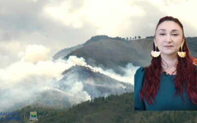 Protección del cerro Quitasol, tema prioritario para la alcaldesa  Lorena González