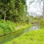 Cornare invierte $6.400 millones en gestión ambiental en Rionegro