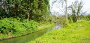Cornare invierte $6.400 millones en gestión ambiental en Rionegro