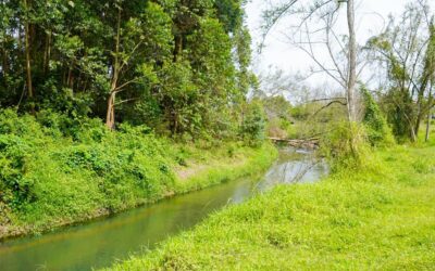 Cornare invierte $6.400 millones en gestión ambiental en Rionegro