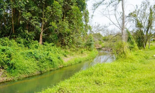 Cornare invierte $6.400 millones en gestión ambiental en Rionegro