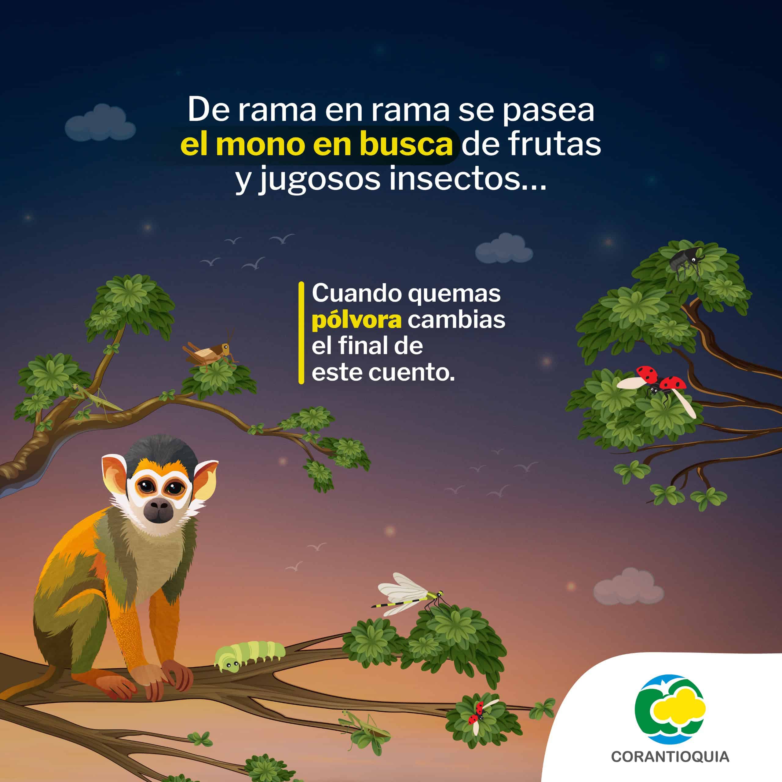 pólvora
