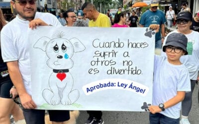 Justicia para nuestros animalitos: No están solos, somos muchos itagüiseños alzando la voz. Hoy celebramos la aprobación de la Ley Ángel