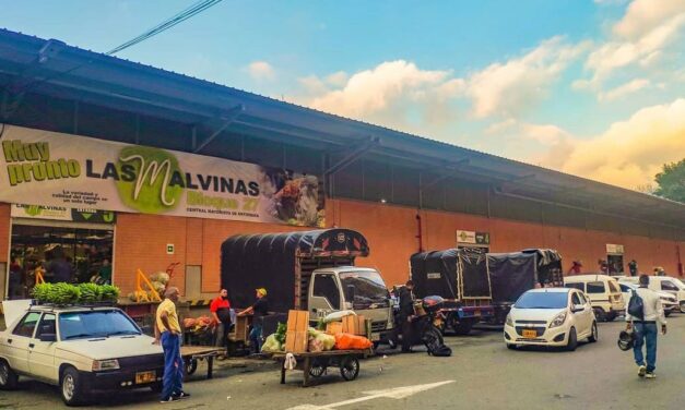 Las Malvinas – Bloque 27: Un mercado de vida y tradición