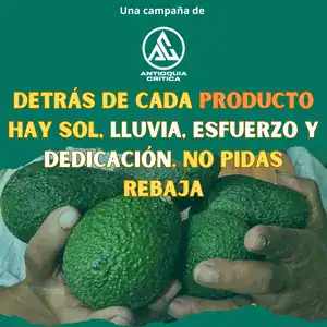 Campaña #NoPidoRebaja de Antioquia Crítica: Un llamado a dignificar el trabajo campesino y valorar su esfuerzo