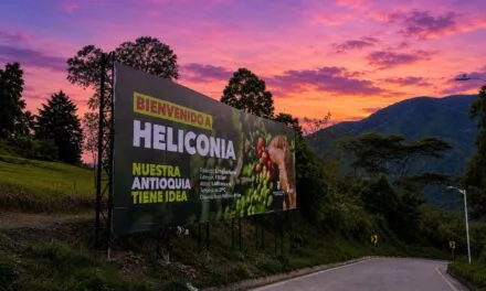 Heliconia construye futuro