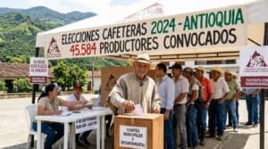 Antioquia tendrá elecciones cafeteras el 6 de septiembre; 45.584 caficultores están convocados